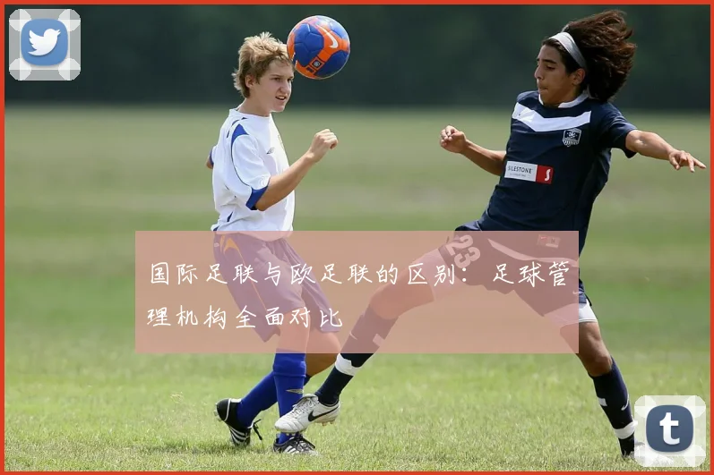 国际足联与欧足联的区别:足球管理机构全面对比