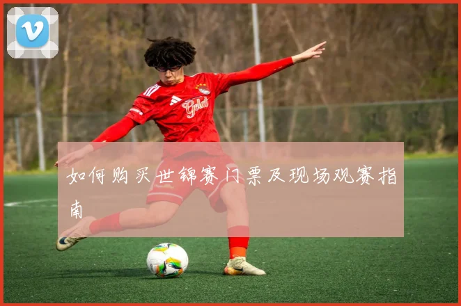 如何购买世锦赛门票及现场观赛指南
